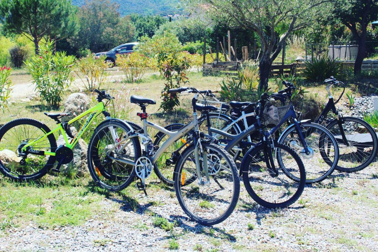 Domaine Pedra Llampada Gite Mer Villelongue-dels-Monts ภายนอก รูปภาพ