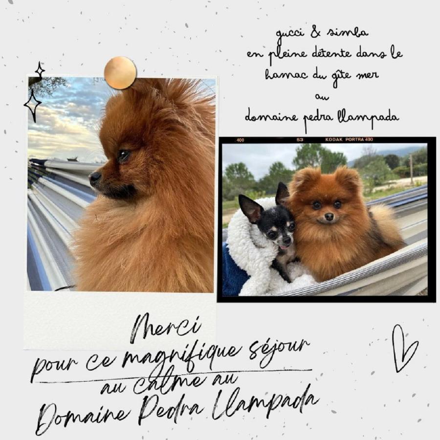 Domaine Pedra Llampada Gite Mer Villelongue-dels-Monts ภายนอก รูปภาพ