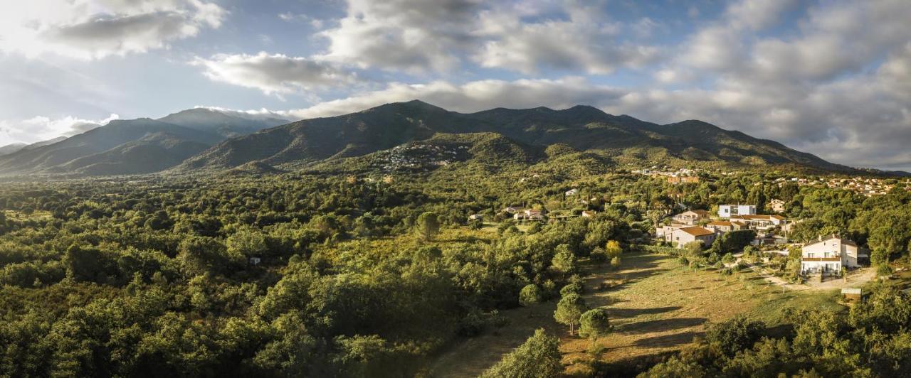 Domaine Pedra Llampada Gite Mer Villelongue-dels-Monts ภายนอก รูปภาพ